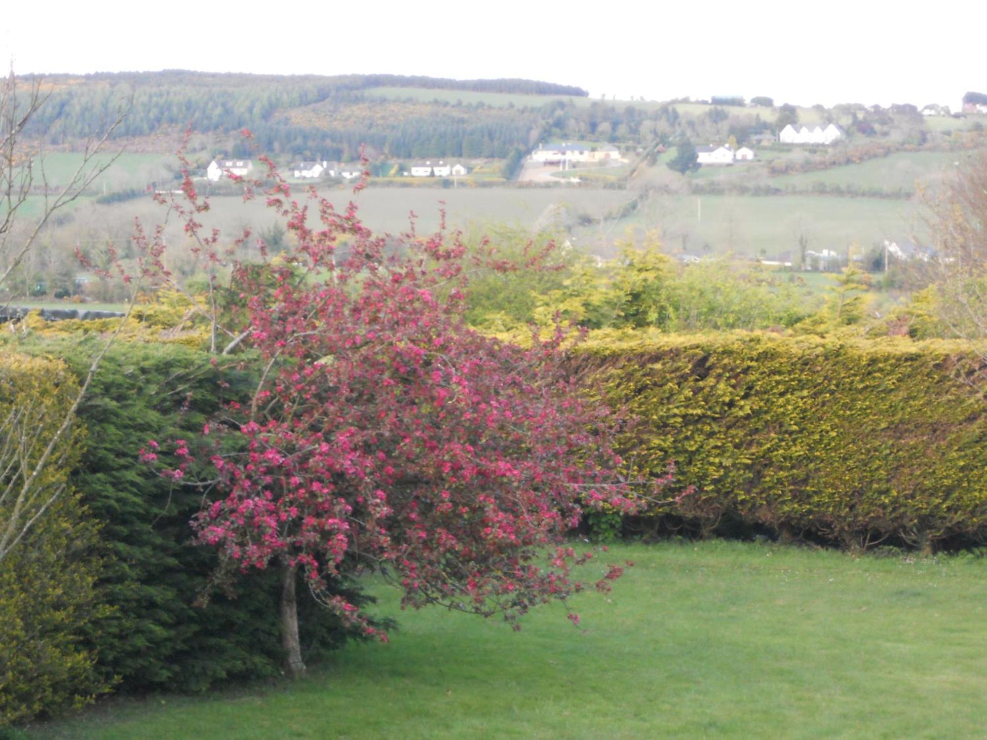 Rhu Glenn Hotel Waterford Kültér fotó